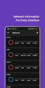 عرض الصورة 3 بالحجم الكامل