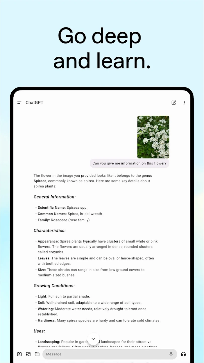 عرض الصورة 10 بالحجم الكامل