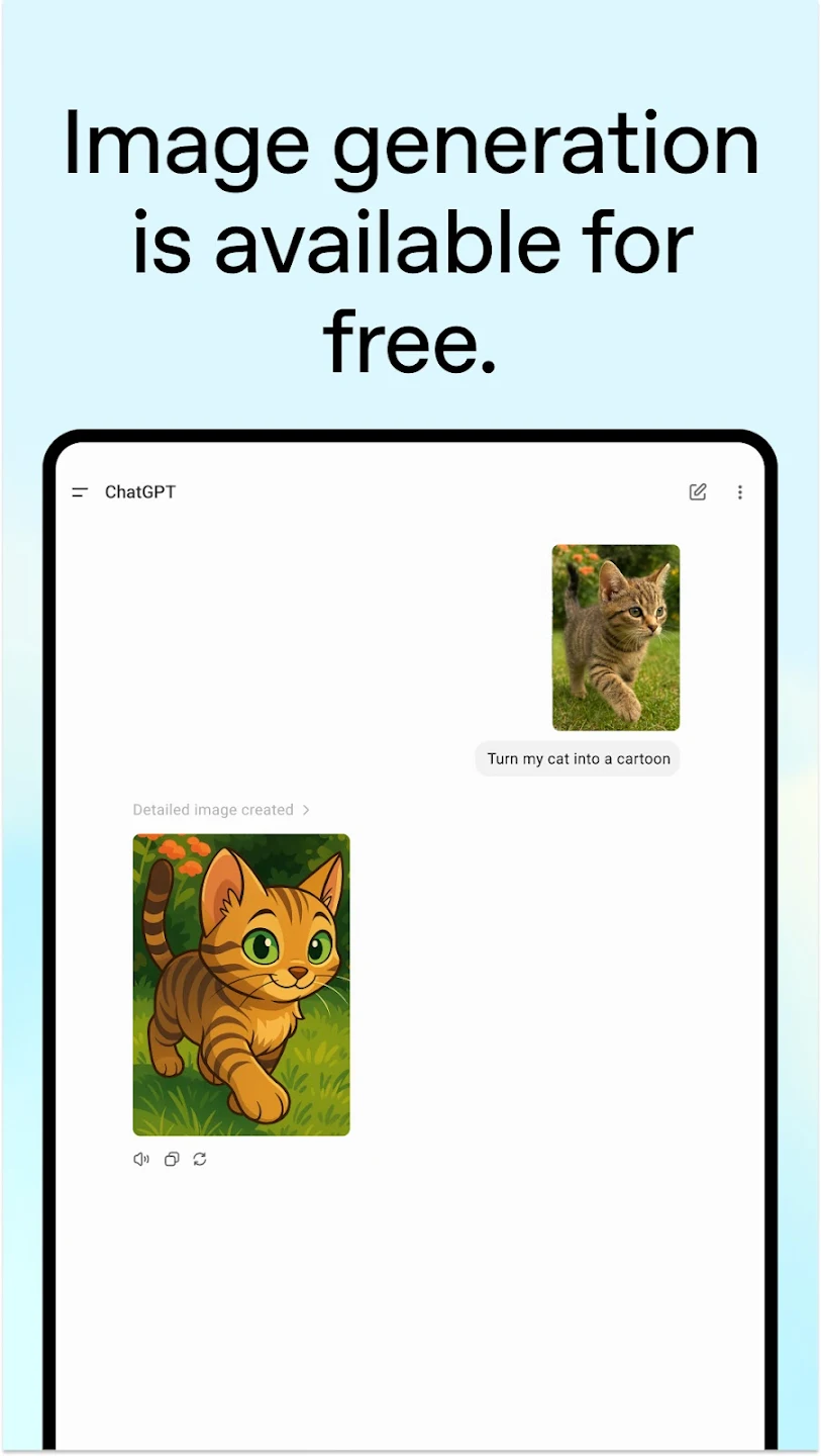 عرض الصورة 7 بالحجم الكامل