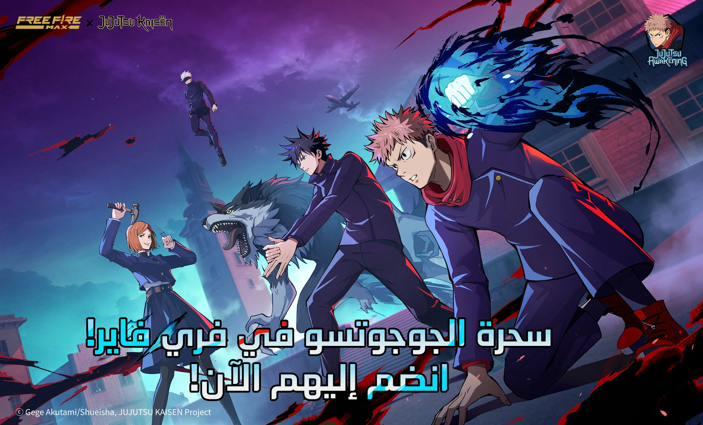 عرض الصورة 6 بالحجم الكامل