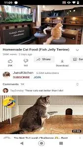 عرض الصورة 3 بالحجم الكامل