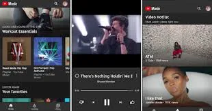 عرض الصورة 2 بالحجم الكامل